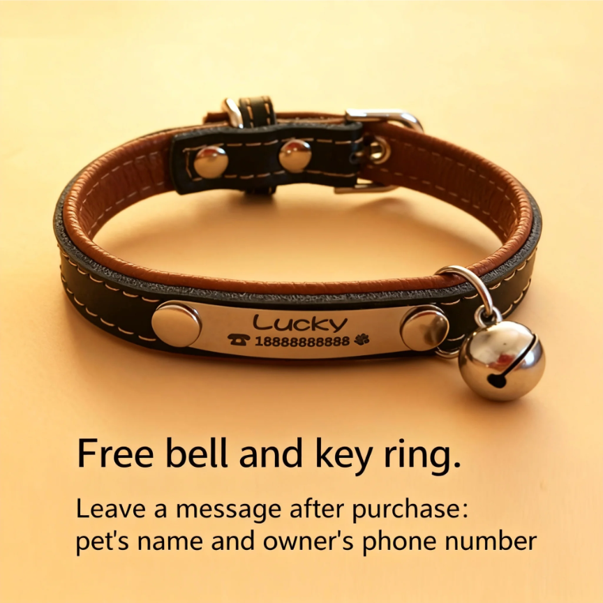 Pet collar