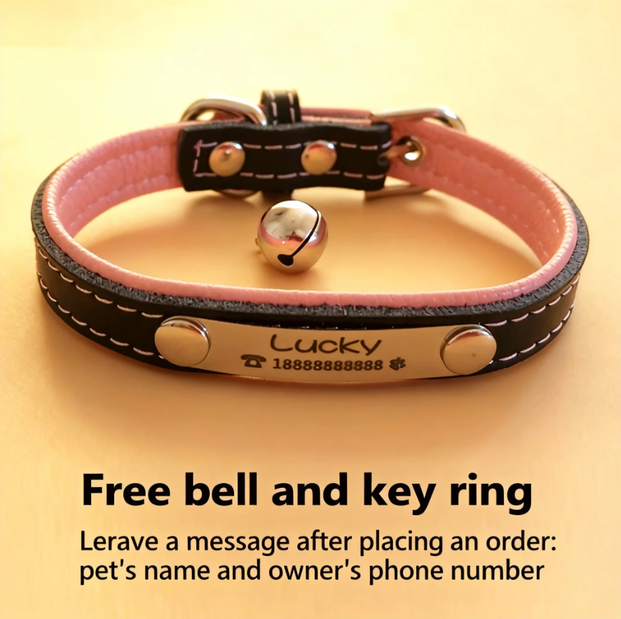 Pet collar