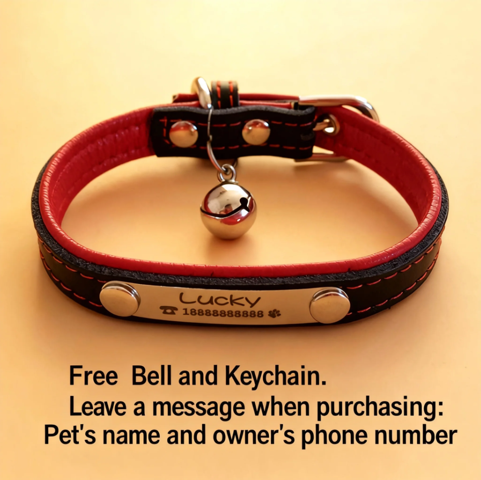 Pet collar